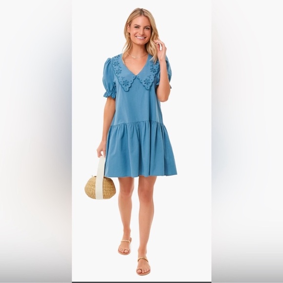Pomander Place Dresses & Skirts - Tuckernuck Pomander Place French Blue Eyelet Babydoll Mini Dress